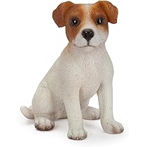 61oDC+srsrL._AC_UL210_SR210,